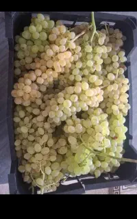 کالا