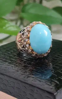 فیروزه نیشابوری عجمی