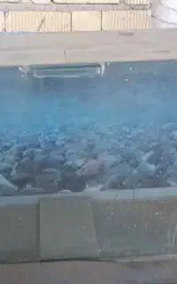 اکواریوم
