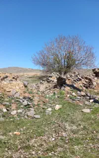 سنگکاری نماسازان