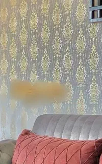 رنگ رنگ آمیزی شرکت سورپرایز