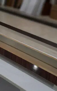 چینه دان پرنده