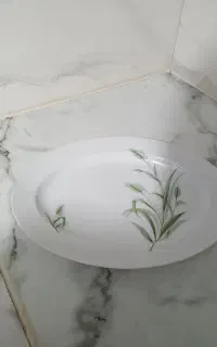 دیس قدیمی
