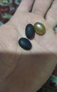 مهره تضمینی