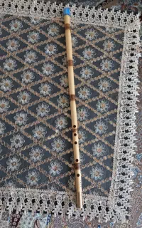 ساز نی ر کوک