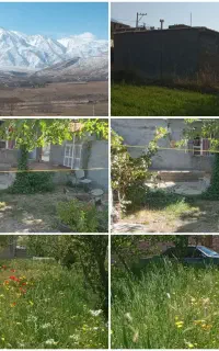 سوییت صمصامی