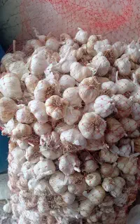 سیر محلی لیلاخ روستای رامول