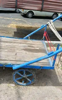 چهارچرخ و گاری مخصوص تره بار