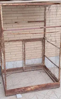قفس سه طبقه