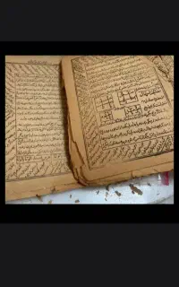 فال ۵۰