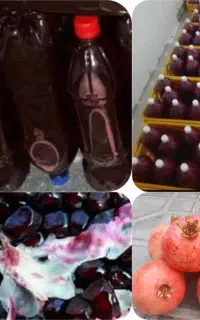 فروش رب انار وآب انار خالص وارگانیک