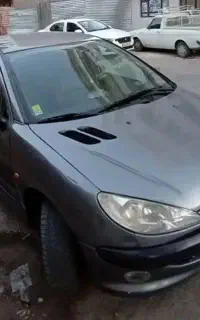 206 sd