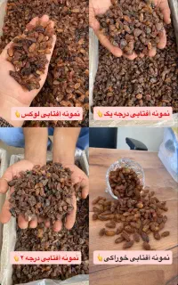کشمش بیدانه