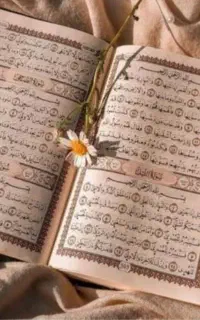 سرکتاب قرآن (استخاره) مشتری همیشگی میشی
