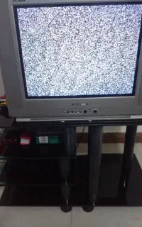 تلویزیون