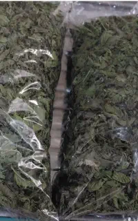 سبزی مارکت