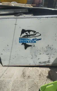 یخچال صندوقی ماهی و میگو