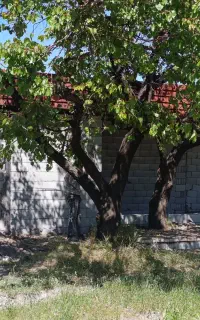 باغچه جاده مهاباد کیلومتر 7