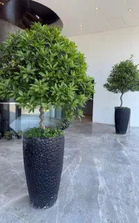 استخدام نیروی خدماتی برای کافی‌شاپ