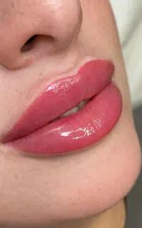 اموزش فیبرز و شیدینگ لب به صورت تخصصی