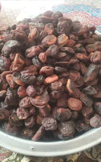 زردآلوی خشک
