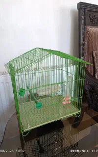 قفسه پرنده