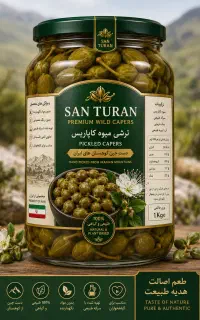ترشی کاپاریس (لگجی)
