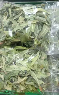 شیره کاهوی وحشی ترک اعتیاد بدون درد و خماری