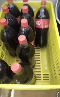آب نارنج قوام و جوشیده غلیظ به شرط