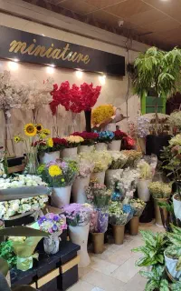 واگذاری یک باب مغازه گل فروشی در حاشیه پیروزی
