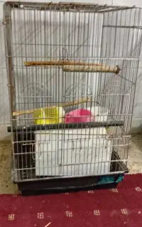 قفس پرنده