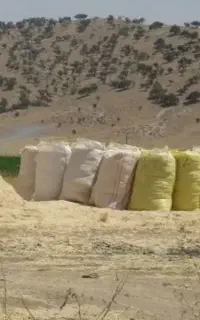 کاه شلیف گرفته و اماده ۵ تن