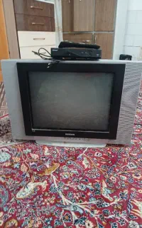 تلوزیون