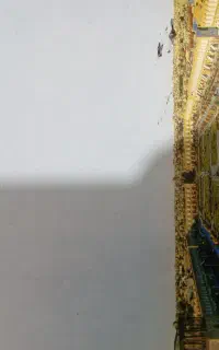 کتاب تاریخ میخوام