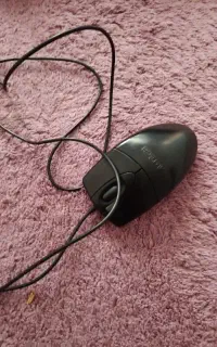 موس