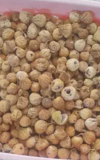 انجیر شیرین خوب
