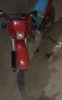 ترل پیشرو