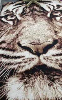 گلیم فرش ۶ متری بدون پارگی و سوختگی درحد نو