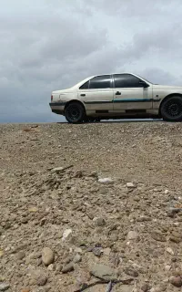 ۴۰۵ بژ مدل ۸۴