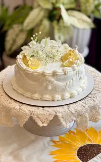 انواع کیک ‌و کوکی