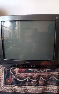 تلویزیون