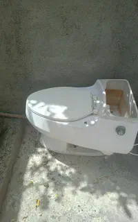 توالت فرنگی
