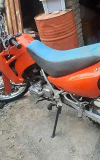 تریل۲۵۰ وحشی