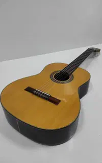 گیتار ZINN