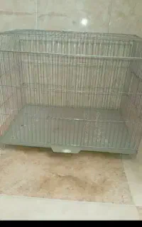 قفس قفس