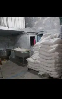 شاطر بربری با سابقه جهت همکاری در مینودر
