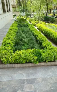 خدمات باغبانی در سراسر فردیس