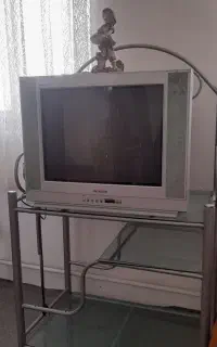 تلویزیون
