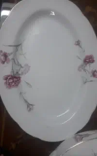 گل میخکی