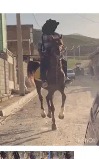اسب